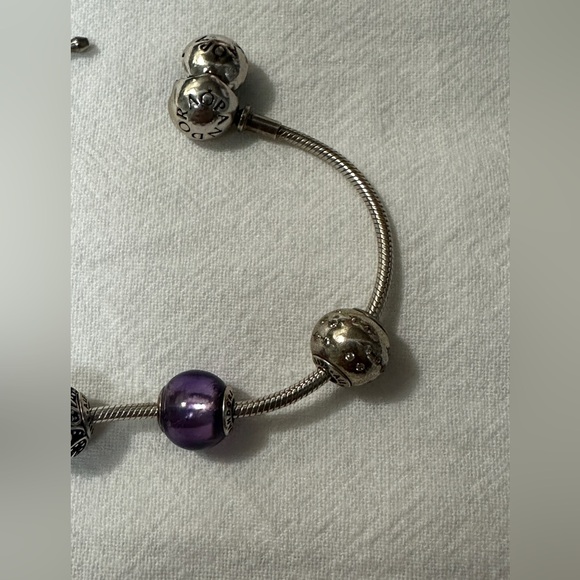 Retired Pandora Essence bracelet & 5 charms - Picture 3 of 13